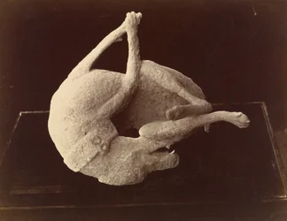 Hund, getötet durch den Ausbruch des Vesuvs, Pompeji (Abguss)